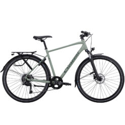 Crescent Starren Grön 9-vxl 53 cm